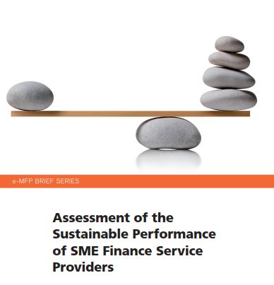 Assessment of the Sustainable Performance of SME Finance Service Providers